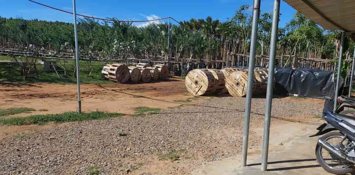 dây cáp điện cadivi