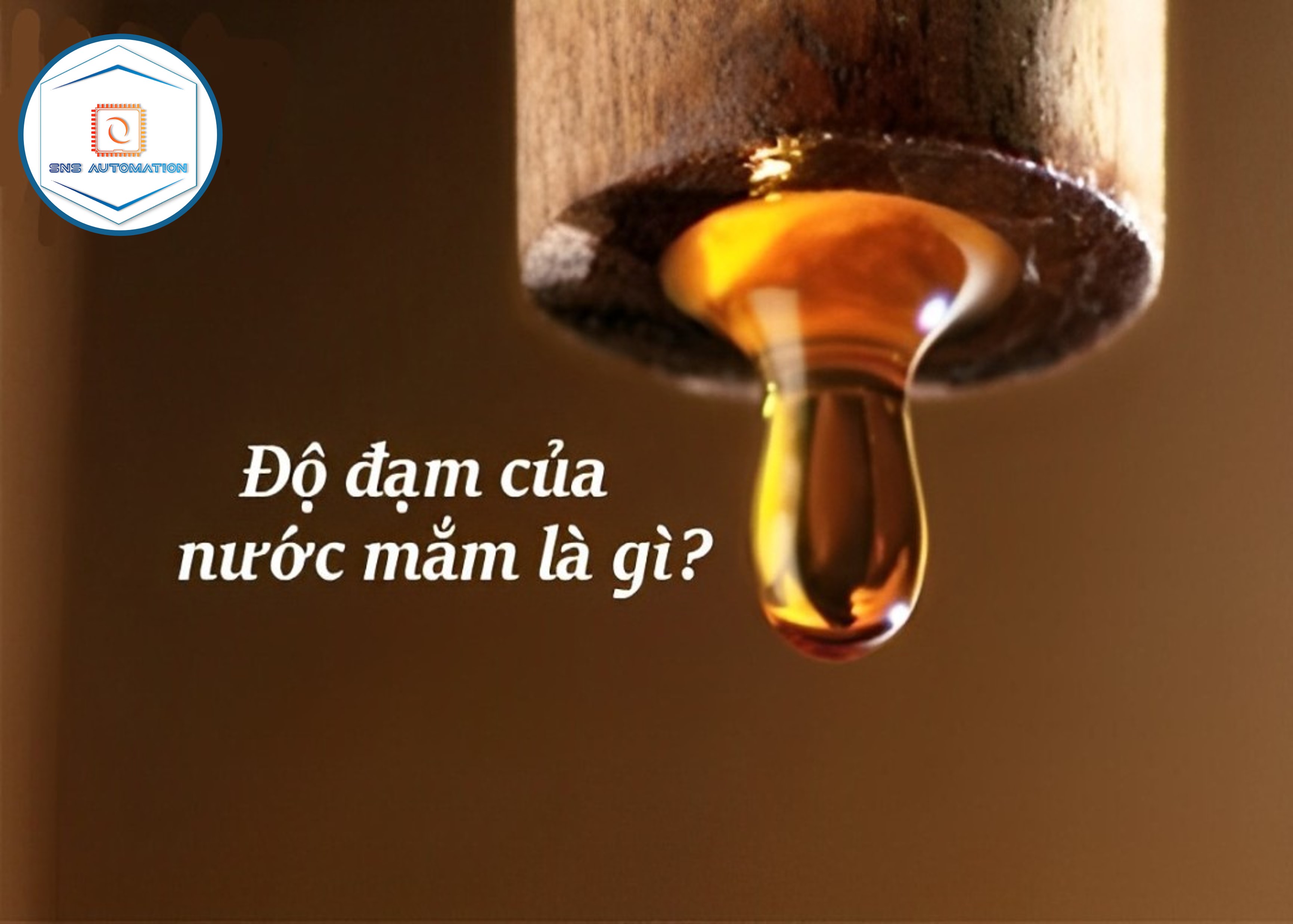 độ đạm nước mắm